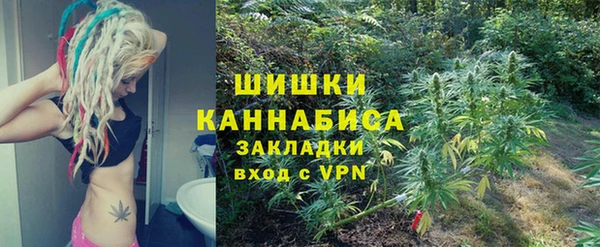 дурь Алзамай