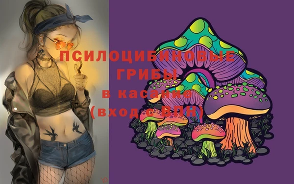 дмт Алексеевка