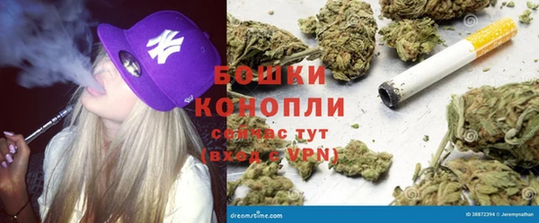 дурь Алзамай
