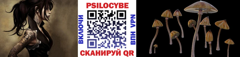 сколько стоит  Слободской  Галлюциногенные грибы прущие грибы 